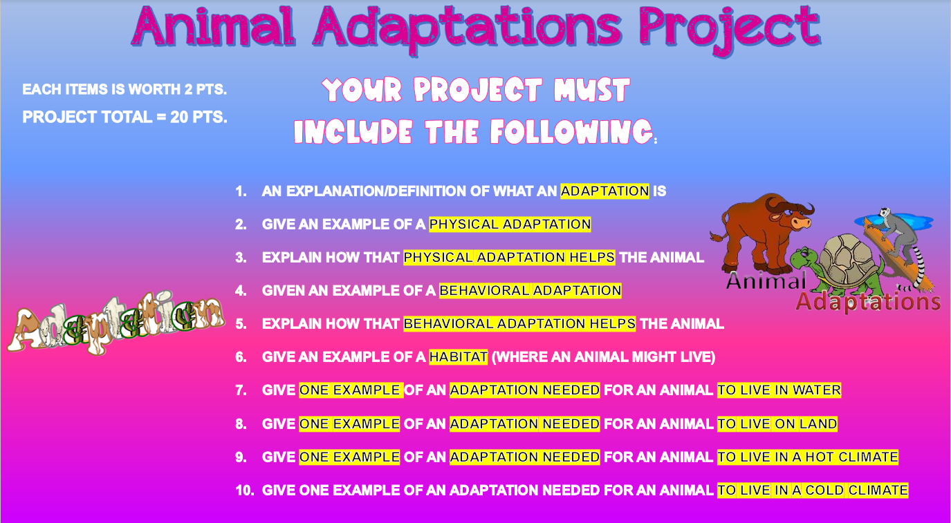 Animal Adaptations 1 SLIDE Project
